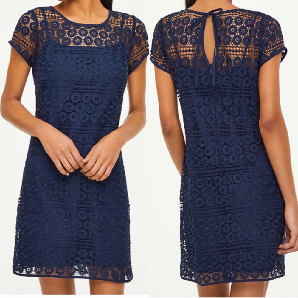 Loft petite navy blue dress